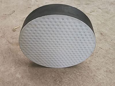 新津区四氟板式橡胶支座易于更换缓冲隔震